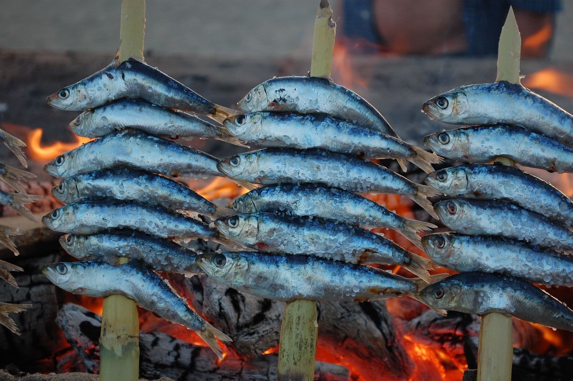 Malaga Sardines