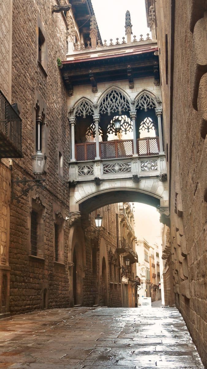 Tour a pé pelo Bairro Gótico